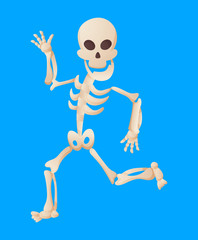 Funny cartoon skeleton posing while running. Vector bony character. Human bones illustration skeletal. Dead man on color background