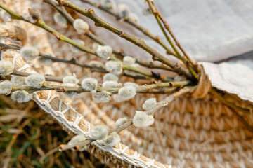 willow branches in a basket - easter symbol