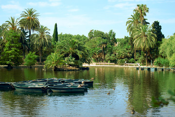 City park with a lake and palm trees. There are small islands in the lake, and boats and ducks floating around. In the foreground, a small cluster of green boats is visible.