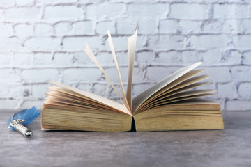 open book and a fountain pen on table against wall.
