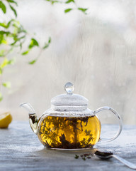 Green tea in a transparent teapot on a light gray background.