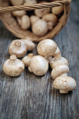 White mushrooms and basket on the wooden rustic table