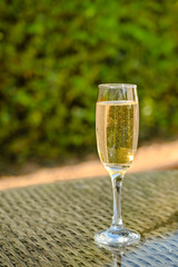 Close up view of a single flute glass of champagne on the glass table top of garden furniture