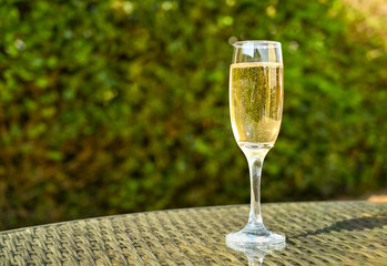 Close up view of a single flute glass of champagne on the glass table top of garden furniture