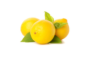 Fresh lemons isolated on white background. Ripe fruit