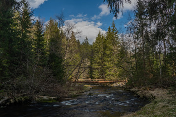 Fototapeta na wymiar Studena Vltava river in national park Sumava in sunny spring day