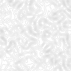Topographic contour map. Vector cartography illustration.