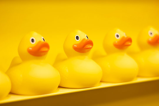 Yellow toy ducks in a row. On a yellow background.