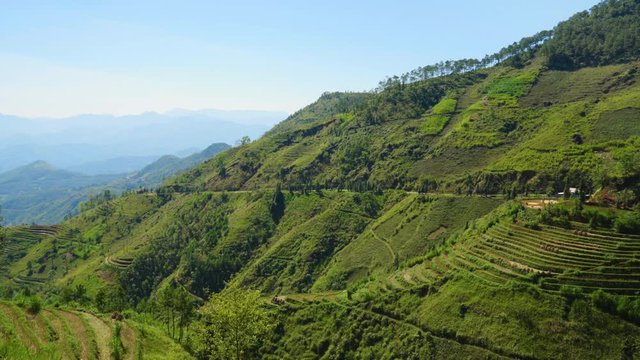 Rice Terraces Field in Mountainous Landscape 