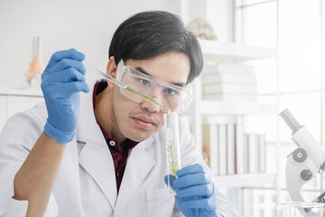 A male scientist with black hair wearing white coat and protective glassware dripping solution into a test tube with a green plant sample in a white laboratory or hospital.