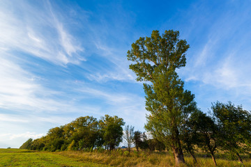 Obraz premium Beautiful autumn landscape with trees, Armenia