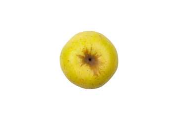 Up view of yellow apple golden type