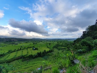 Bali island nature