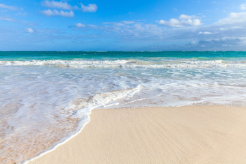 Fototapeta na wymiar Coastal Caribbean landscape with sandy coast