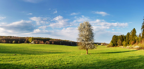 Saarland - Landschaft im Frühling bei Theley im St. Wendler Land