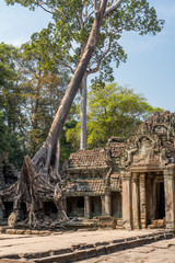 Preah Khan Temple, Angkor Park, Siem Reap, Cambodia