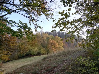 autumn in the park