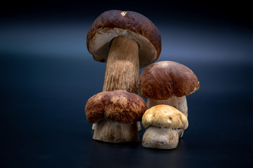 Boletus edulis  isolated on background close up food health