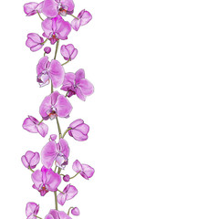 Floral vertical seamless pattern brush with purple flowers orchids on white background.  Vector stock illustration.