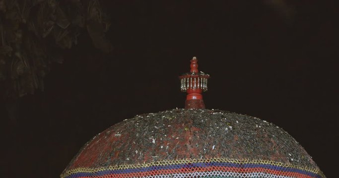 Bat guano covers a red prayer umbrella inside a large cave filled with fruit bats. The flying fox hanging upside down from the ceiling