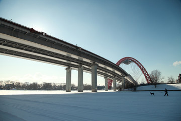 a walk with a dog on the frozen Moscow river under a cable-stayed bridge on a frosty day