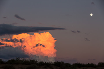Golden and orange clouds in the sky