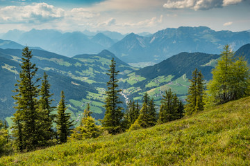 Bergwelt Tirol