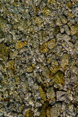 Rocks and sea