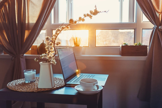 Home work place with laptop, cup of hot drink and blooming brunch in vase on coffee table near window on sunset or sunrise. Freelance, working from home, online learning, home office. Slow living.
