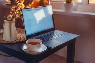 Home work place with laptop, cup of hot drink and blooming brunch in vase on coffee table near window on sunset or sunrise. Freelance, working from home, online learning, studying, home office concept