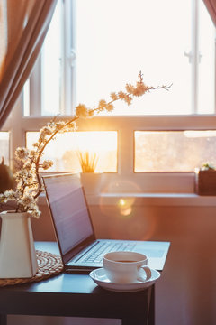 Home Work Place With Laptop, Cup Of Hot Drink And Blooming Brunch In Vase On Coffee Table Near Window On Sunset Or Sunrise. Freelance, Working From Home, Online Learning, Studying, Home Office Concept