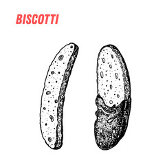 Biscotti sketch. Italian dessert vector illustration. Italian sweet hand drawn sketch. Vintage design template.