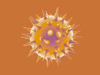 3d illustration of colorful pollen from flowers, plants and trees. Simulating scientific microscope images in graphic style, isolated on color background.