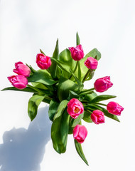Overhead view bouquet of pink tulips on white background with shadows. Daylight.