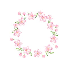 Fototapeta na wymiar Round frame of delicate Apple flowers. Watercolor illustration. Isolated on a white background. Perfect for decorating wedding invitations, albums and posters