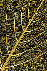 Background golden texture leaf. Vector illustration. EPS 10