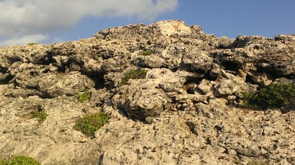 Aruba Photography