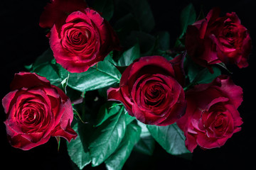 close-up fresh red roses on black background, concept of greeting, wedding, love and celebration of March 8