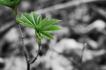 Der gr&uuml;ne, farbenfrohe Fr&uuml;hling