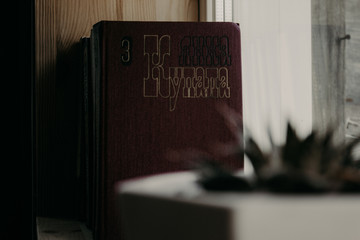 a small flower in a pot and a book