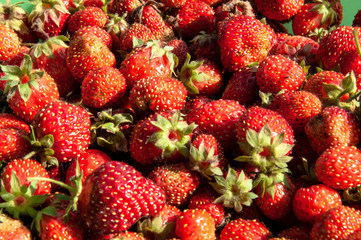 strawberry berries