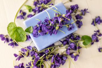 Obraz na płótnie Canvas sweet violet viola violeta odorata purple blossom first sprin flowers for herbal remedies 
