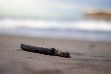 Pacific Beach