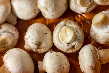Close-up of White Mushrooms in Supermarket Packaging