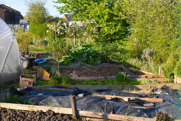 Fototapeta na wymiar Grow your own fresh fruit flowers herbs and vegetables on one of London allotment sites Some of the council spots have longer waiting lists than others so when you apply better include several options