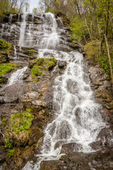 waterfall in the forest