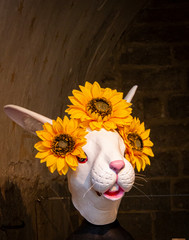 White Rabbit Mask with sunflowers on its head