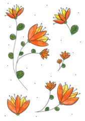 orange flowers on the white background