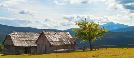 A tree near two houses in the background of a mountain landscape. Ukrainian Carpathians