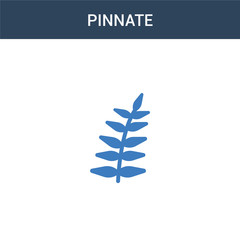 two colored Pinnate concept vector icon. 2 color Pinnate vector illustration. isolated blue and orange eps icon on white background.